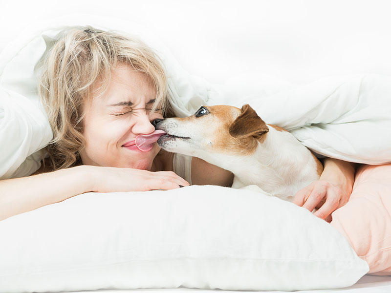Why Choose a Professional Pet Sitter?