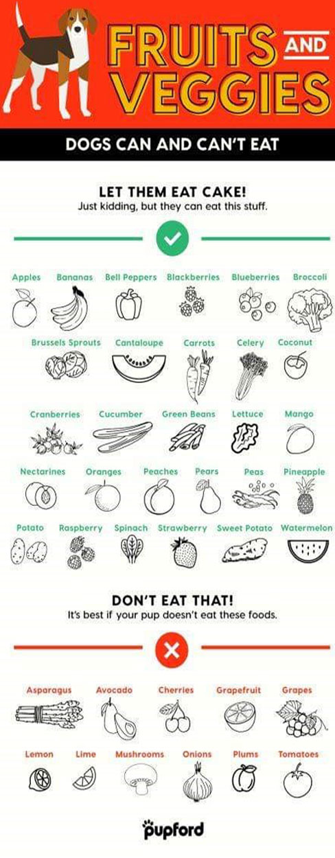 Dog Food Chart